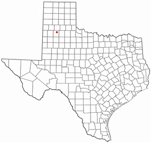 Seth Ward, Texas